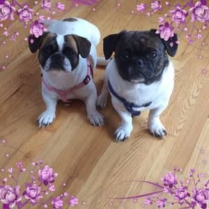 Meet your Posher, Jody